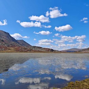 流干的泪结成冰