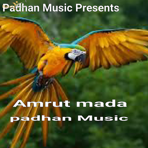 Amrut mada