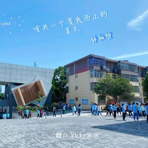 有关一个戛然而止的夏天