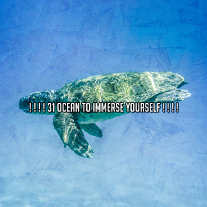 大海中的一滴水