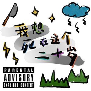 我想死在这个二十岁