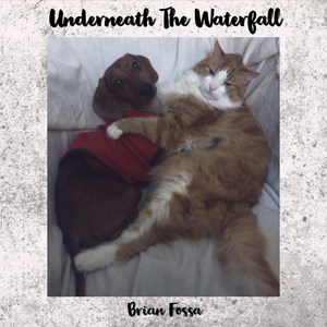 Hidden in Plain View