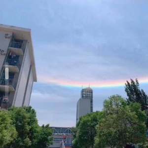 《如果可以再爱你一场》