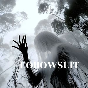 FOllOWSUIT