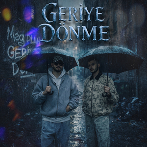 Geriye Dönme