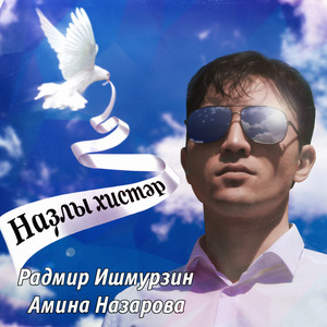 Наҙлы хистәр