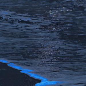 好想问问你我是不是你心里的唯一