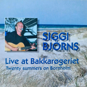 Stormurinn (Live)