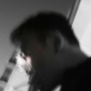 也许或者不也许