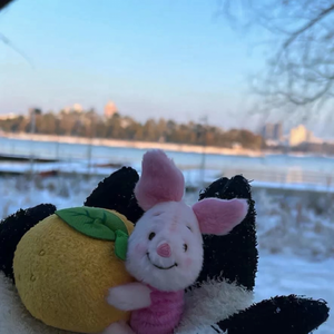 有一种爱在你身旁