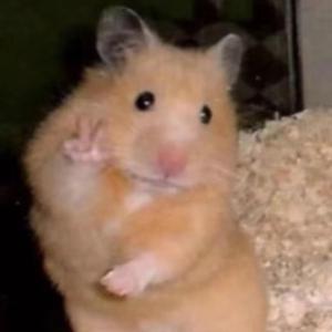 真正的离开都是悄无声息的