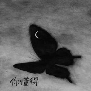 你懂得（当你从我面前慢慢走过）