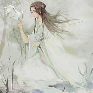 半情歌 命中注定我爱你