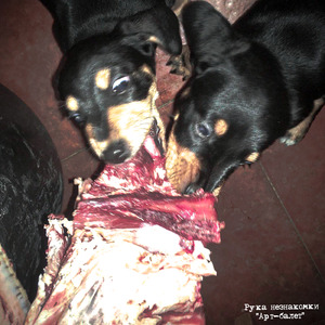 Спортсмены