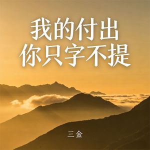 我的付出你只字不提