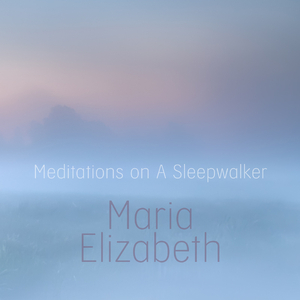 Meditations on a Sleepwalker