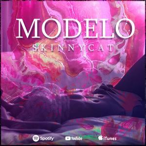 MODELO