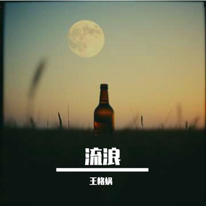 雪绒花的静谧圆舞曲