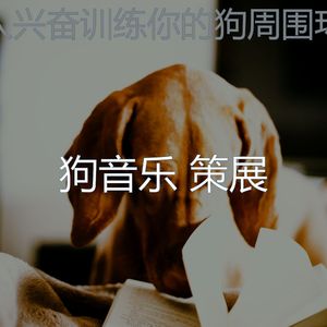 微妙的可爱的狗心情