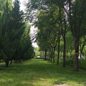 你一句别来无恙 秋也并非这么凉