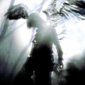 spread my wings