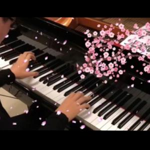 【Pianominion】千本樱《钢琴改编》（翻自 Pianominion）