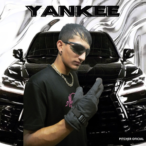 Yankee