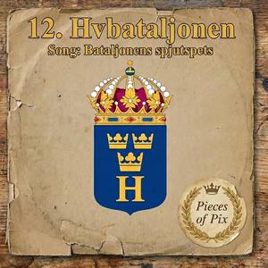 12. Hvbataljonen Blues