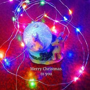 Merry Christmas To You (piano demo）