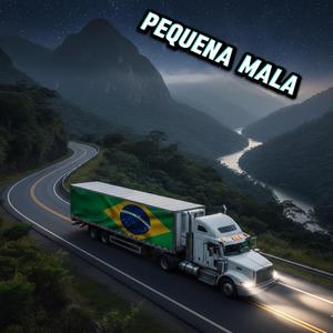 Pequena mala