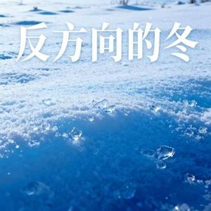 反方向的冬
