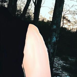 nie mogę się skupić (bo kocham cię baby)