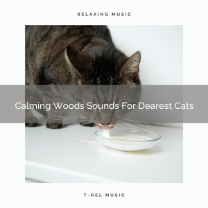 Relaxing Nature Sounds Especially For Cats