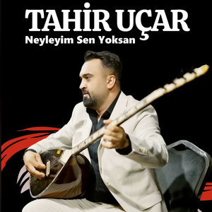 Neyleyim Sen Yoksan