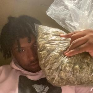 Paper Route