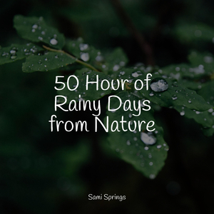 Forest, Busy, Animals