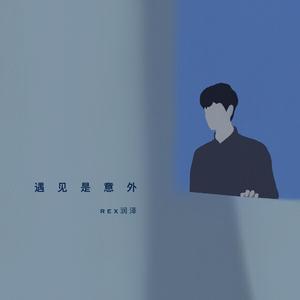 遇见是意外 (伴奏)