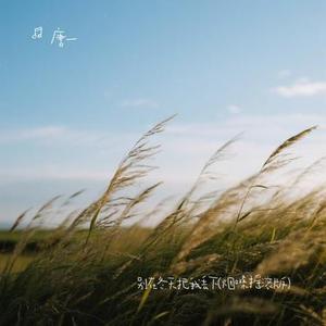 别在冬天把我丢下 (烟嗓摇滚版)