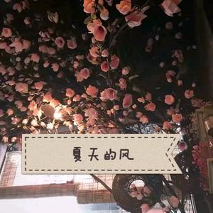 夏天的风（深情女版弹唱）
