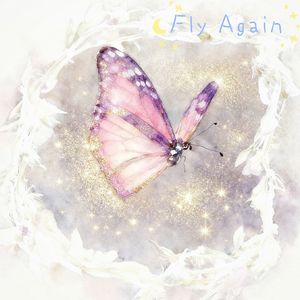 Fly Again