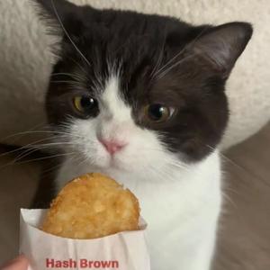 马思唯 - Coco Elva Tia（ShiYe LiteFeet remix）