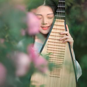 【琵琶】小城谣-乐落清音