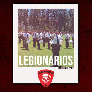 La Mestiza - Panquehue 2021