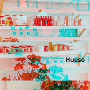 Hueso