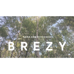 Brezy