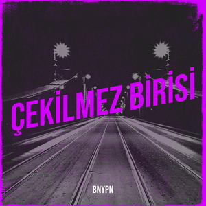 Çekilmez Birisi