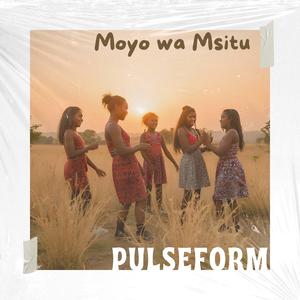 Moyo wa Msitu