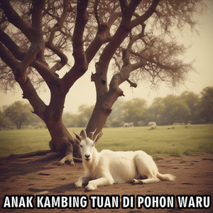 Anak kambing tuan di pohon waru