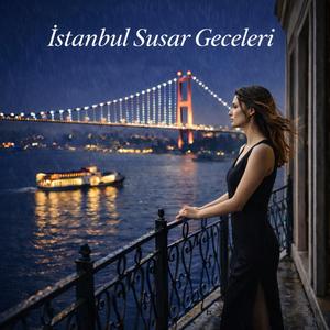 İstanbul Susar Geceleri