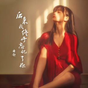 后来我终于忘记了你 (DJ沈念版)